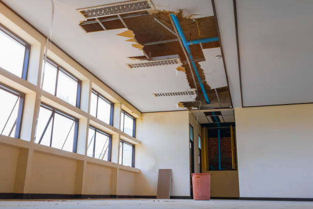 Best Sewage cleanup and water damage restoration  in San Mateo, CA