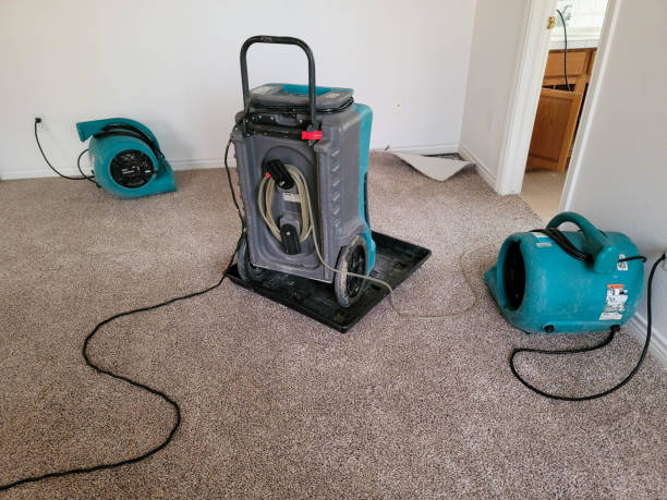 Best Commercial water damage restoration  in San Mateo, CA