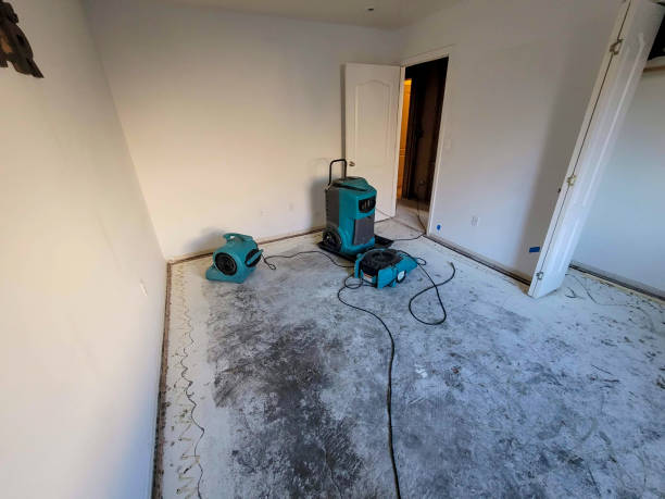 Best Basement water damage restoration  in San Mateo, CA