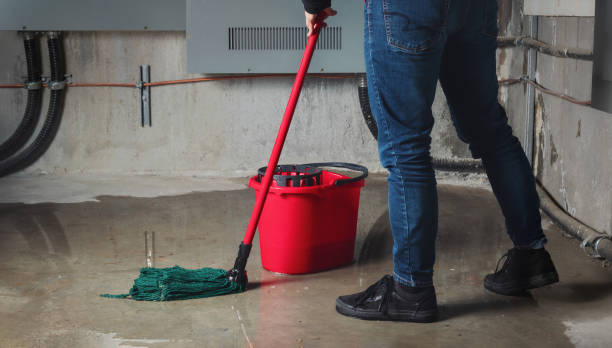 Best Residential water damage restoration  in San Mateo, CA