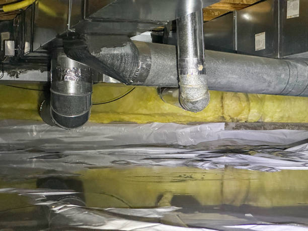 Best Mold removal after water damage  in San Mateo, CA