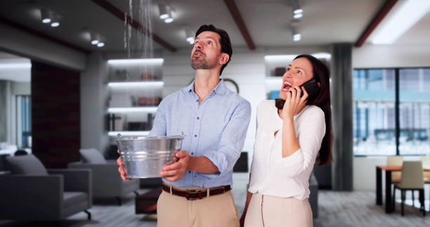 Best Water damage restoration near me  in San Mateo, CA