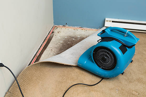 Best Water damage contractors near me  in San Mateo, CA